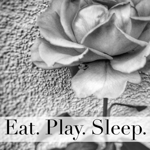 EatPlaySleep-Sq